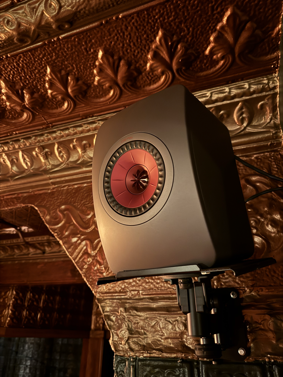 IMG_7584 Large.png